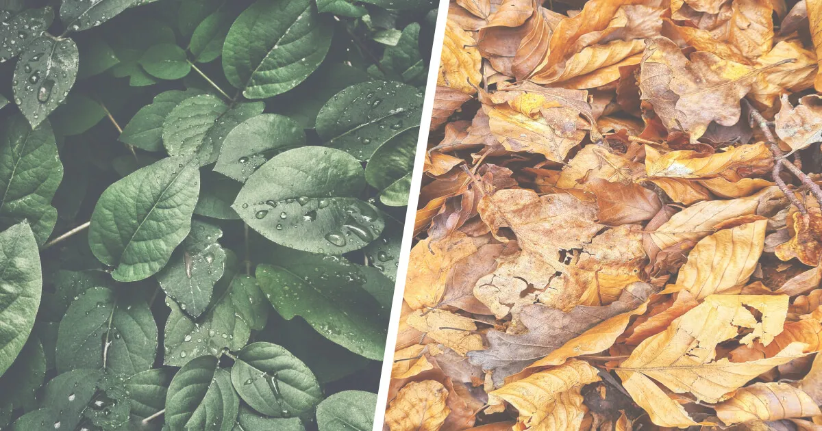 Правила утворення Comparative and Superlative