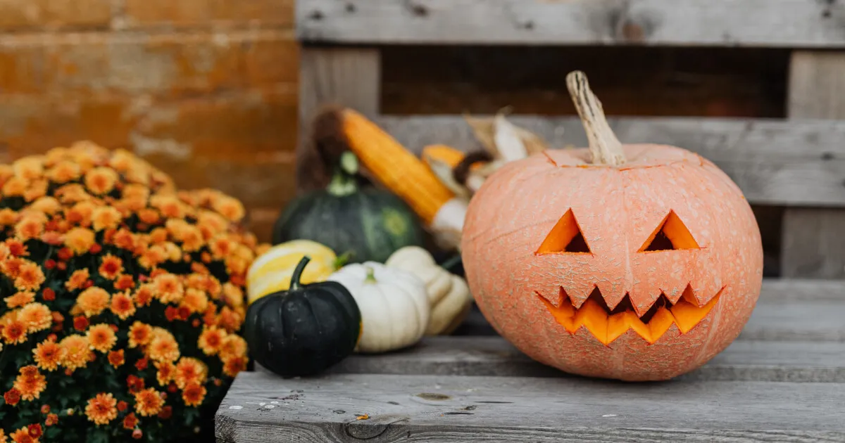 10 лучших мультфильмов на Halloween, которые стоит посмотреть с детьми