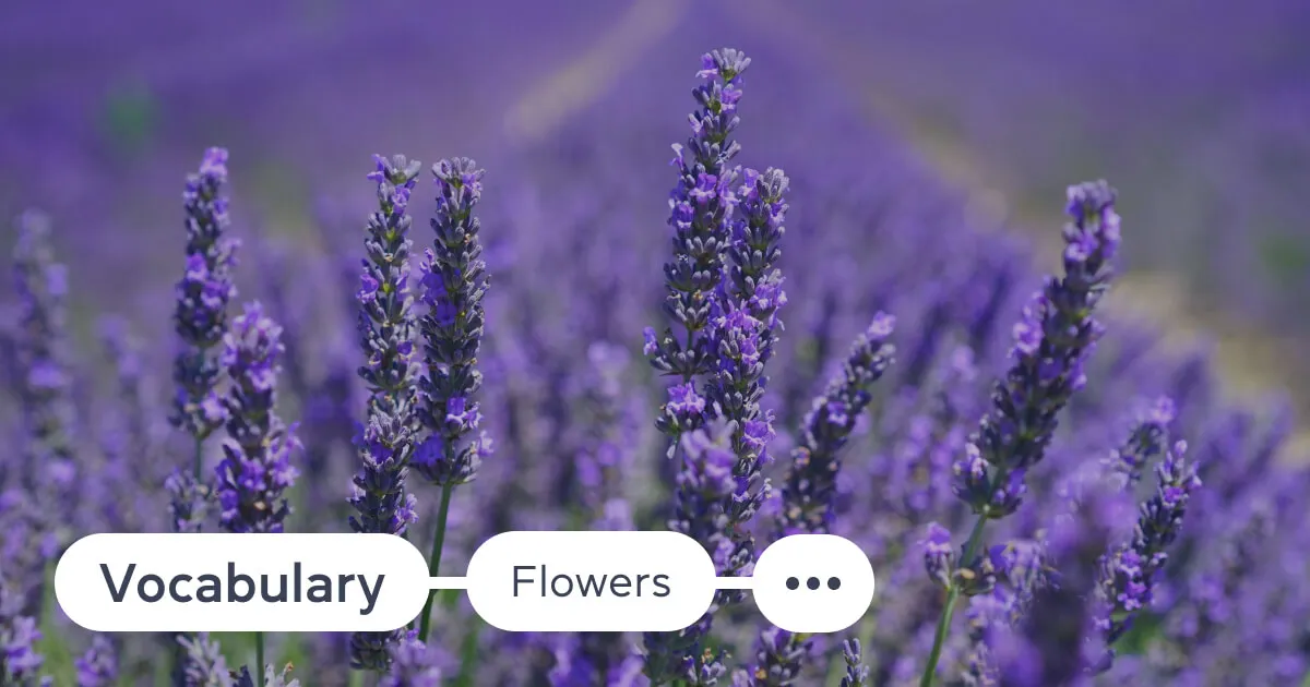 Nazyvayem raznovidnosti tsvetov na angliyskom