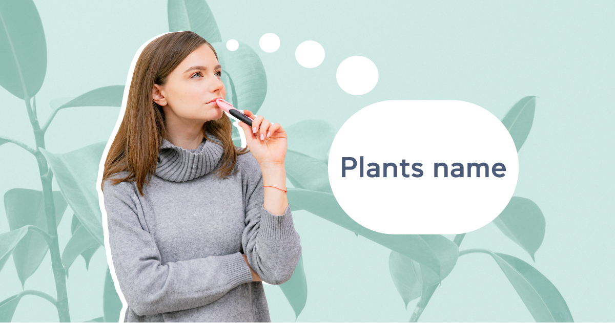 Названия растений на английском: учим полезную лексику