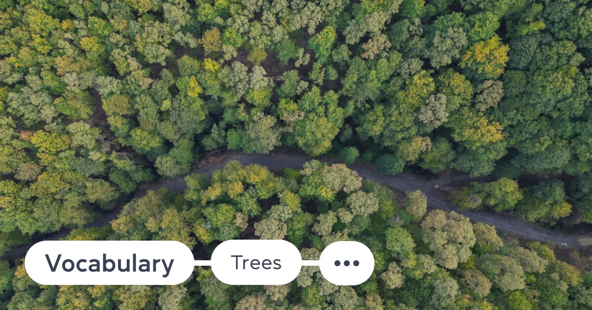 Yak rozpovisty pro dereva anhliysʹkoyu?