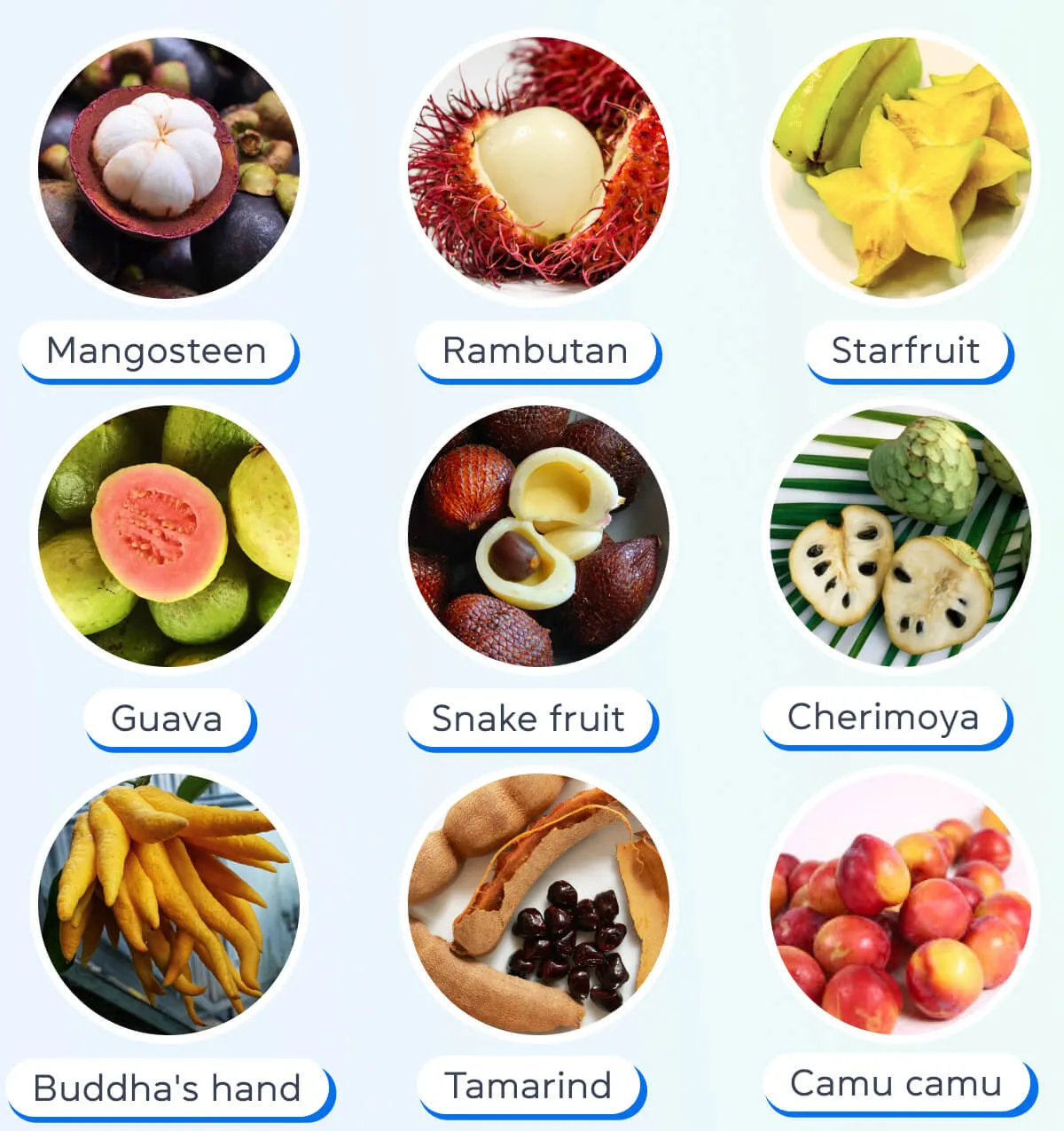 Экзотические фрукты на английском языке