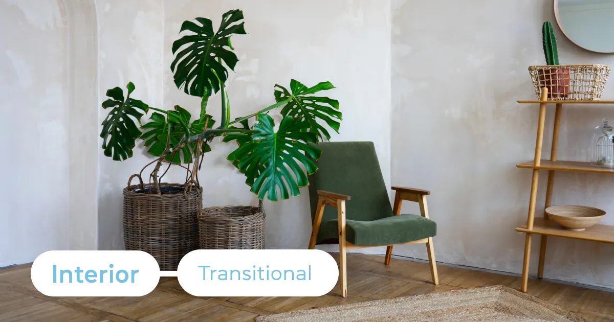 Transitional
