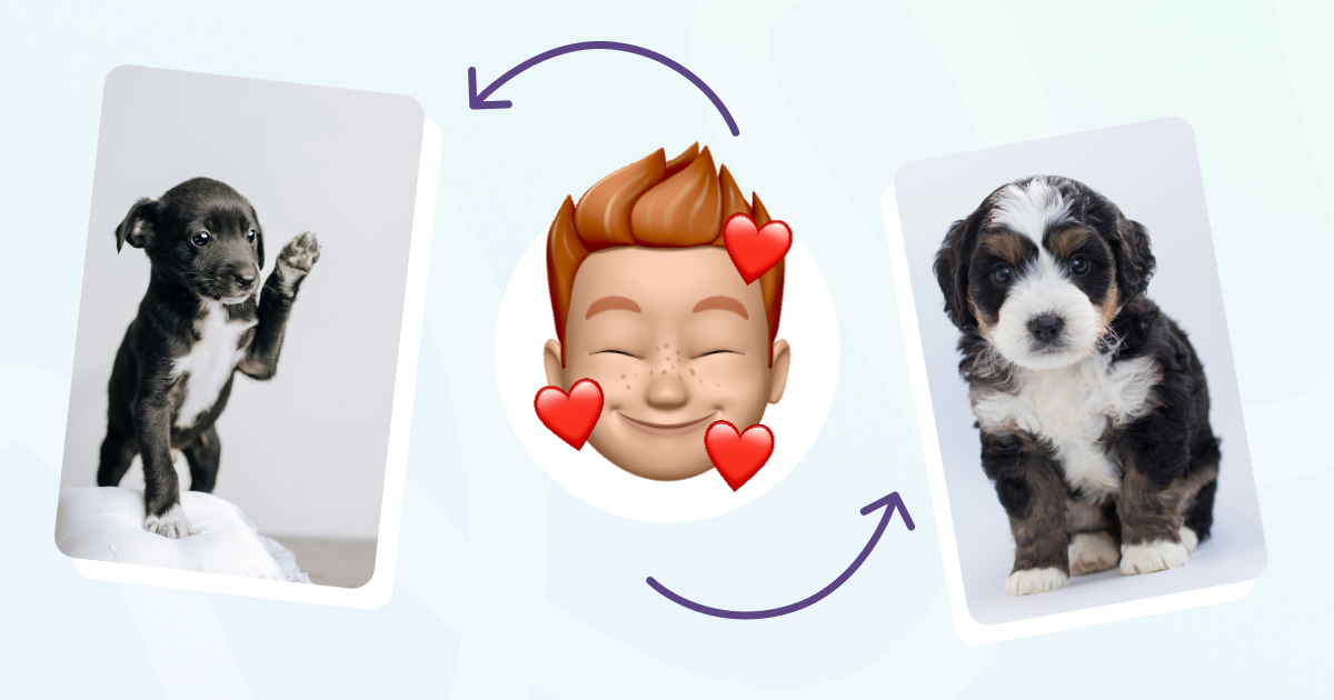 Имена для собак на английском языке 🐕 подбираем кличку для вашого питомца - grade.ua