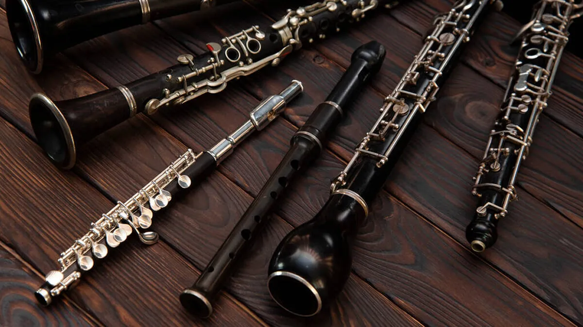 Духовые деревянные инструменты