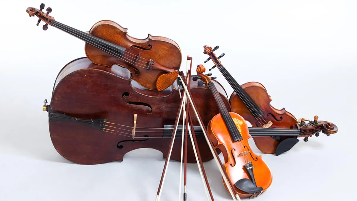 Струнные музыкальные инструменты