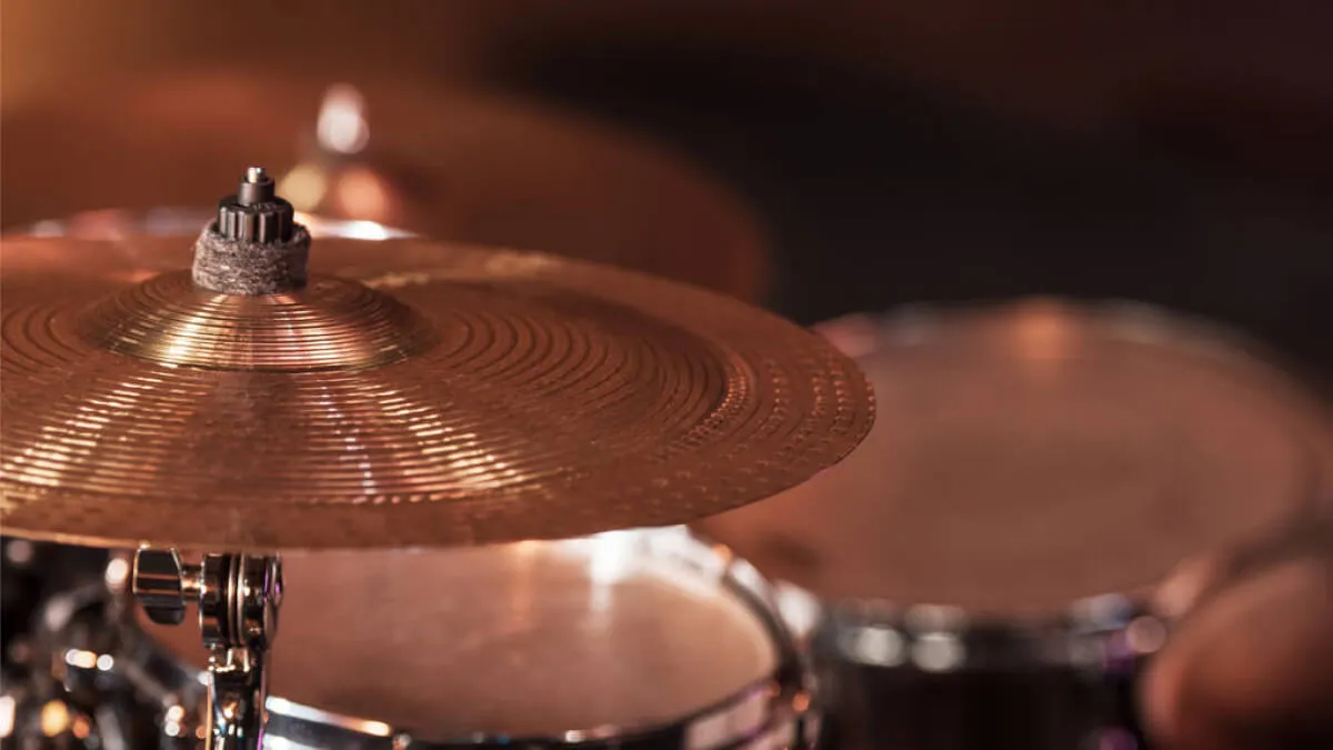 Ударные музыкальные инструменты