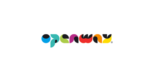 OpenWay Group